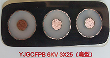 ���ֻ�ר�ñ����