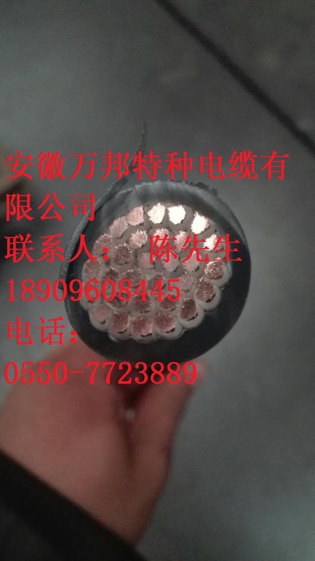 DC1000V WDZA-XEER WDZA-EPR-1.8kVֱ