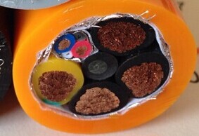 HGG HGGP HGVF HGVFP𽺵