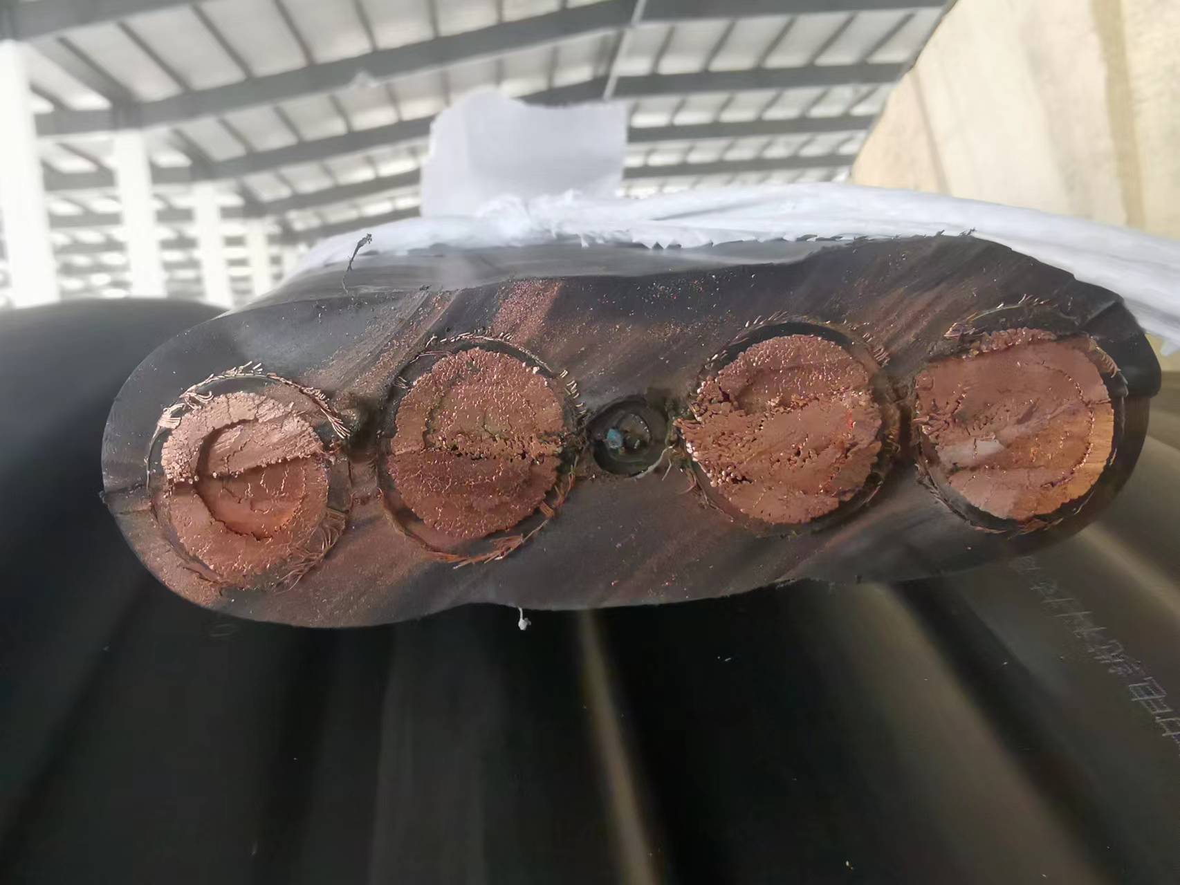 ���ŵ�����£�������������ק��